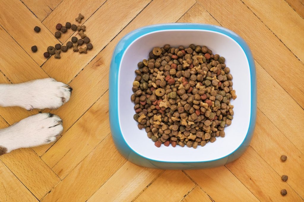 Changing your dogs diet