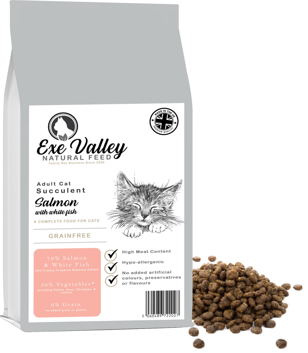 Exe Valley Cat Salmon with White Fish 5kg