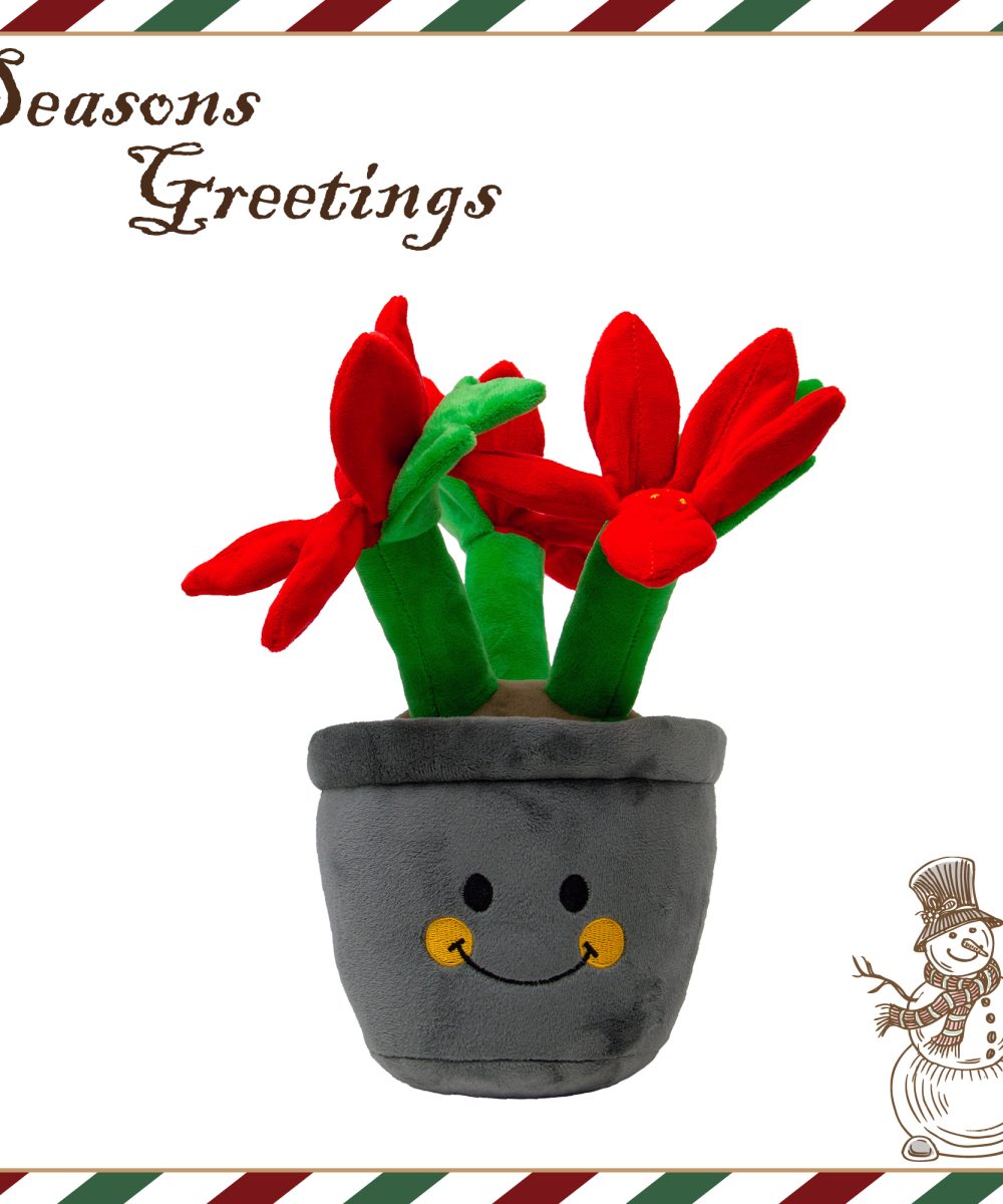 Ancol Henrietta Poinsettia