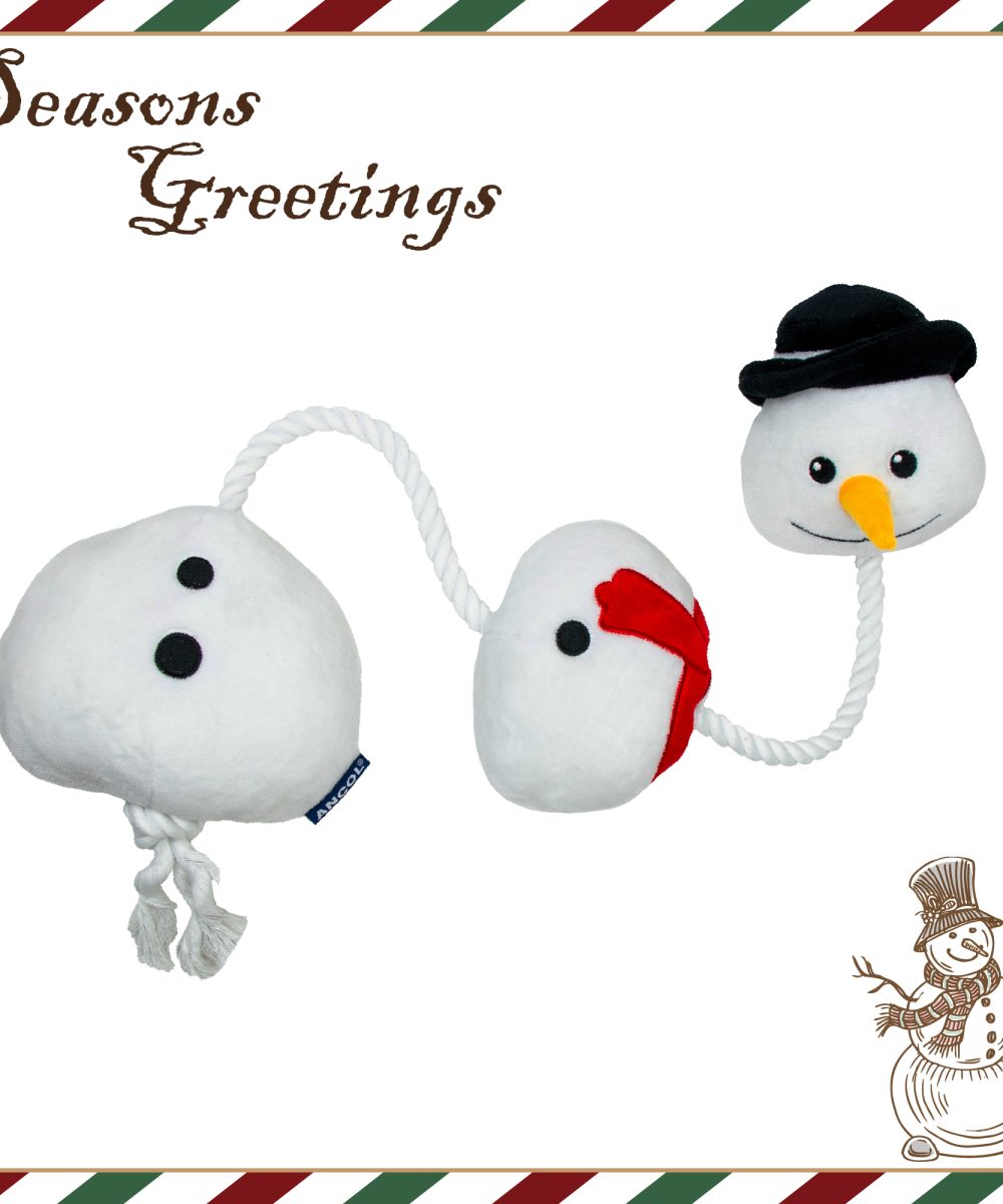Ancol Seb the Ropey Snowman