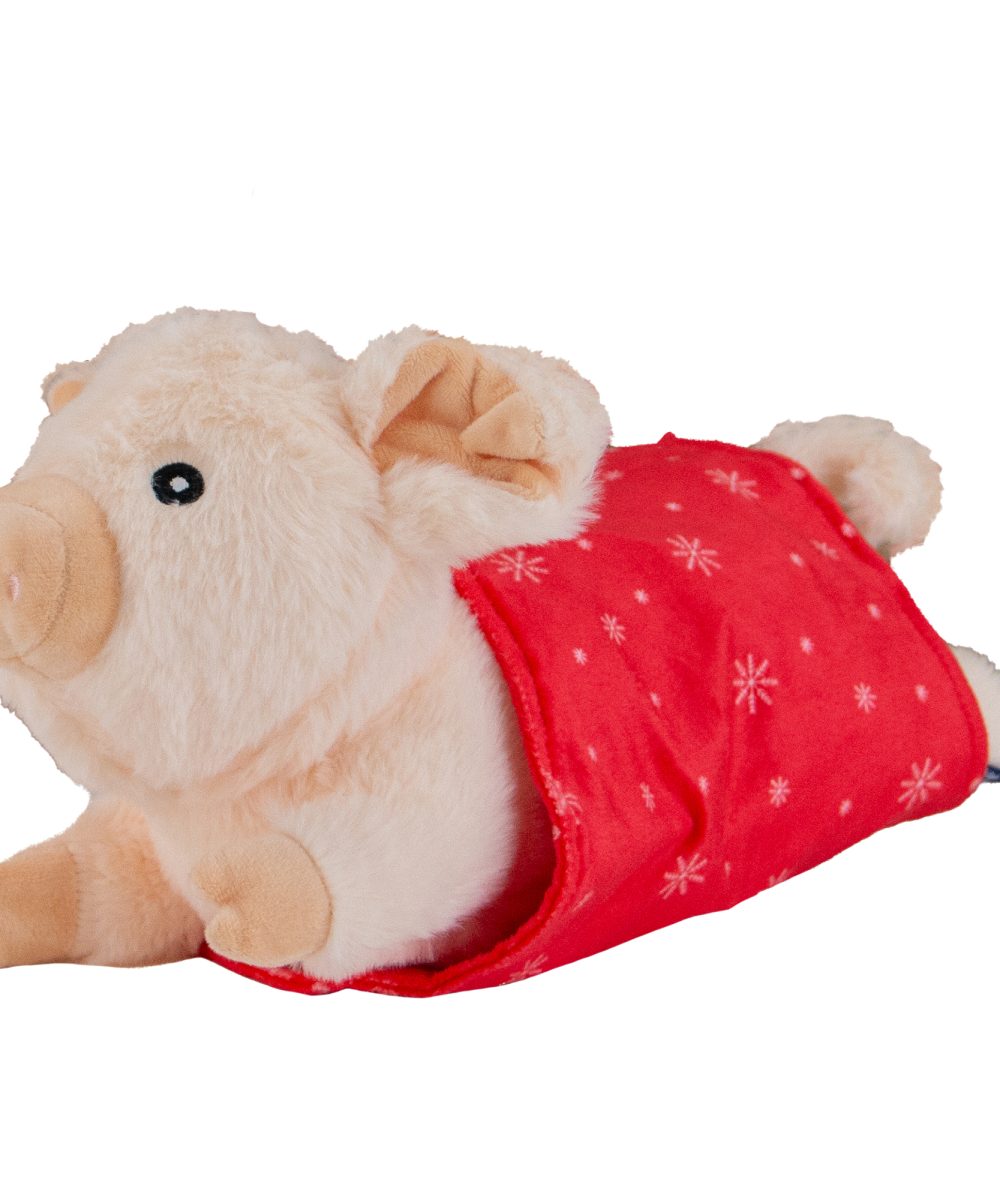 Ancol Paloma Pig in Blanket Dog Toy
