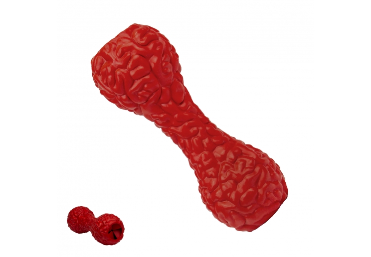 Orva Brain Treat Dumbbell Dog Toy